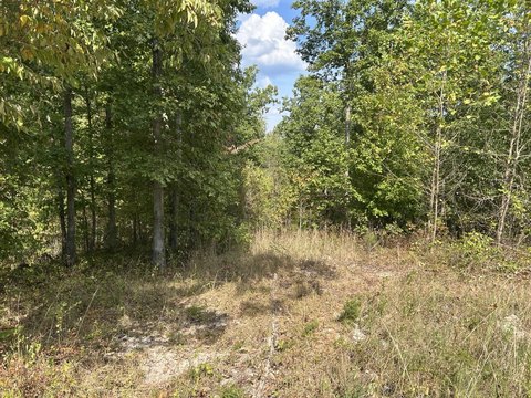Land For Sale in Drury