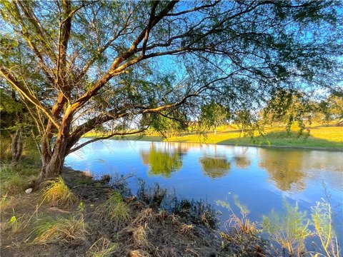 Land, Sandia, TX