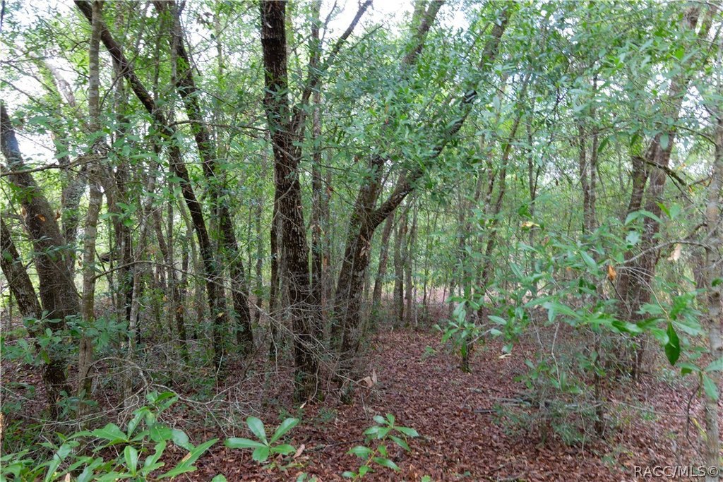 Picture 11