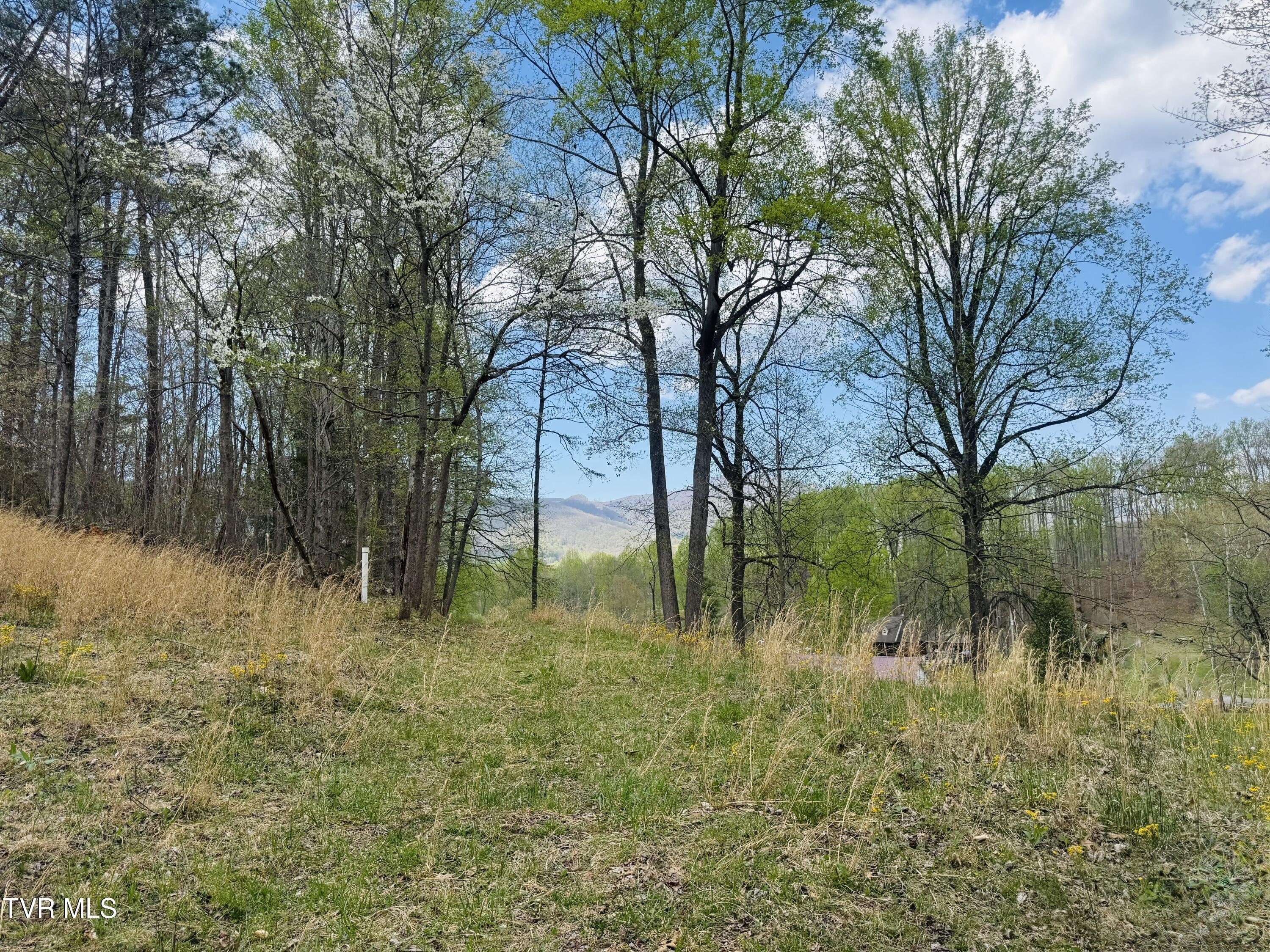 Elizabethton Land with Mountain Views