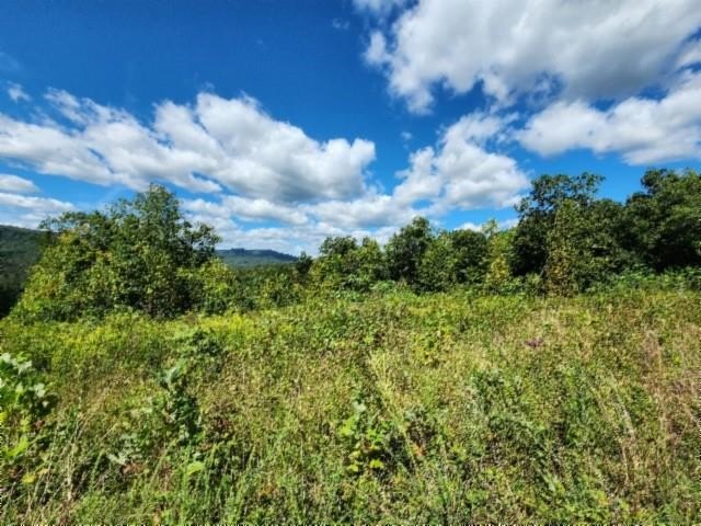 Jamestown Land with Mountain Views