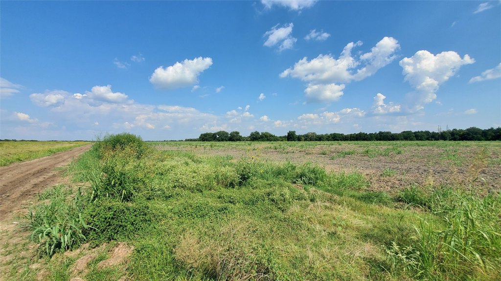 Picture 26