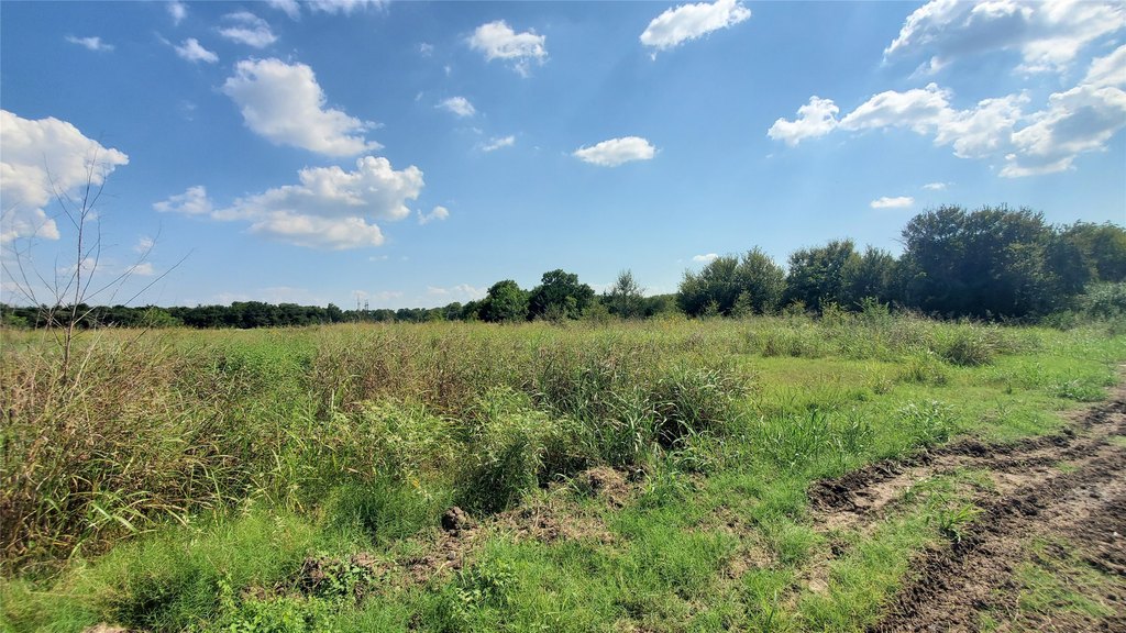 Picture 19