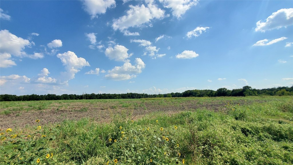 Picture 27