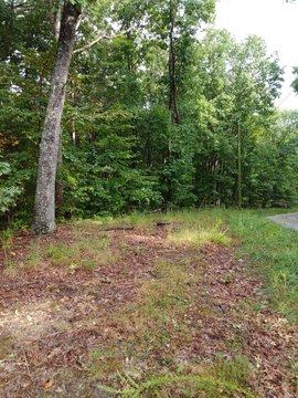 Land, Spring City, TN