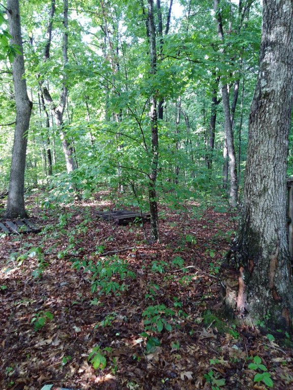 Picture 15