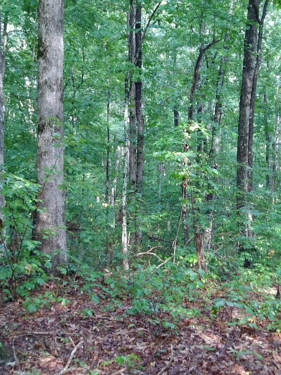 Picture 18