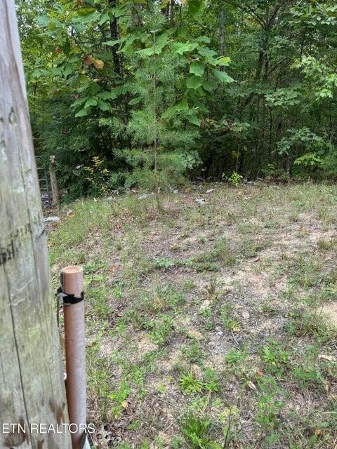 Picture 2