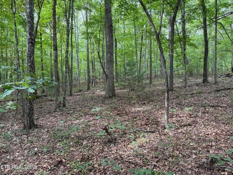 Land, Jamestown, TN