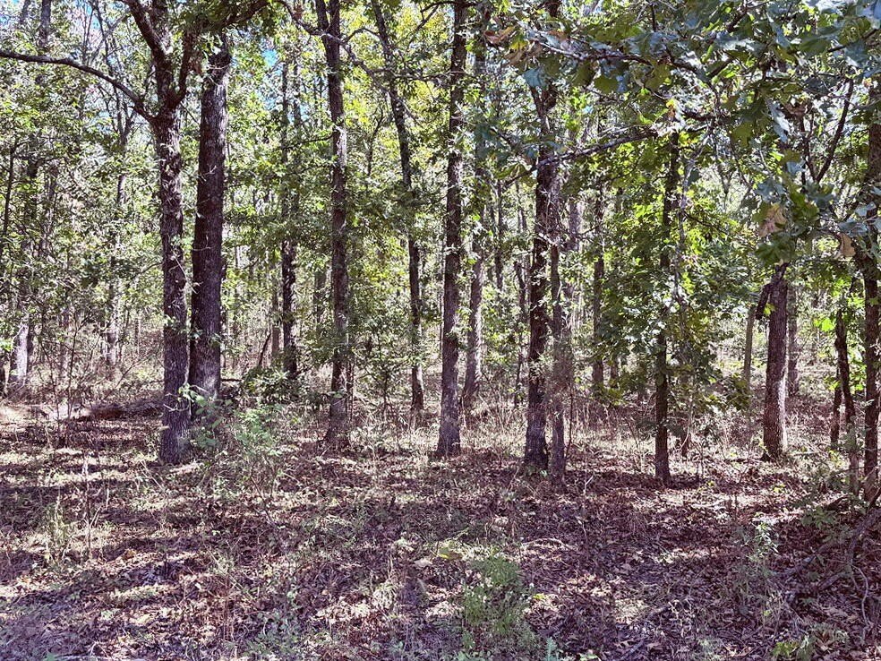 Picture 29