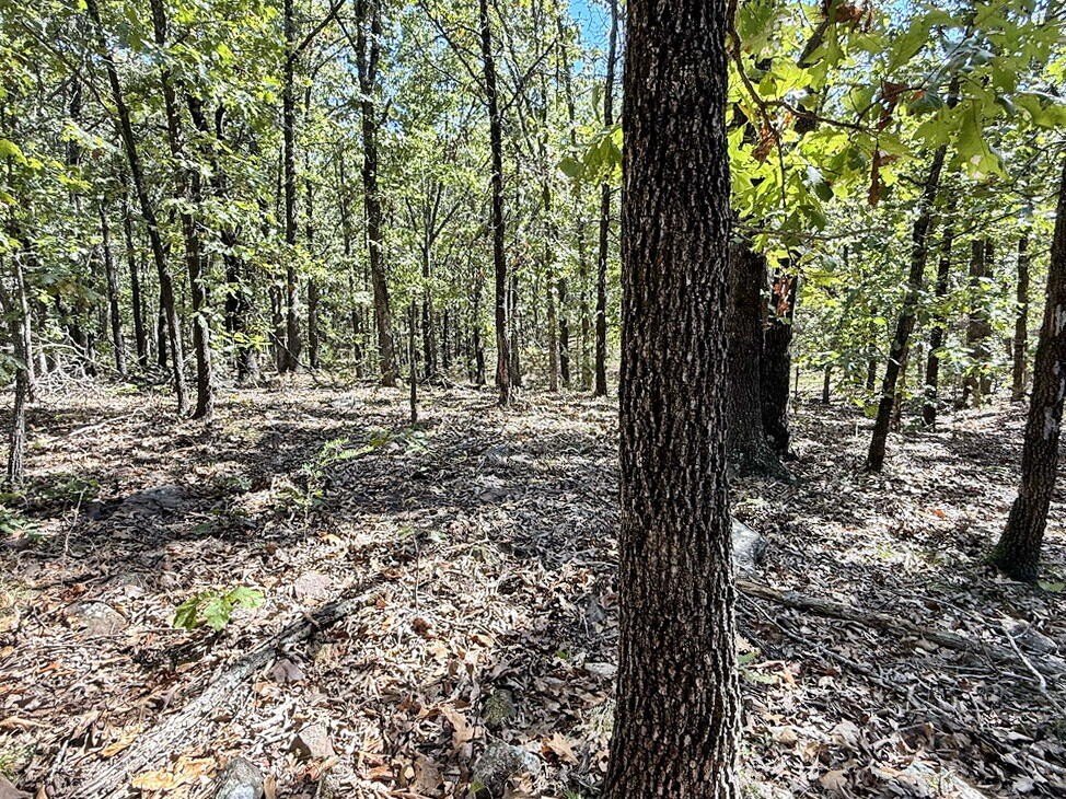 Picture 18