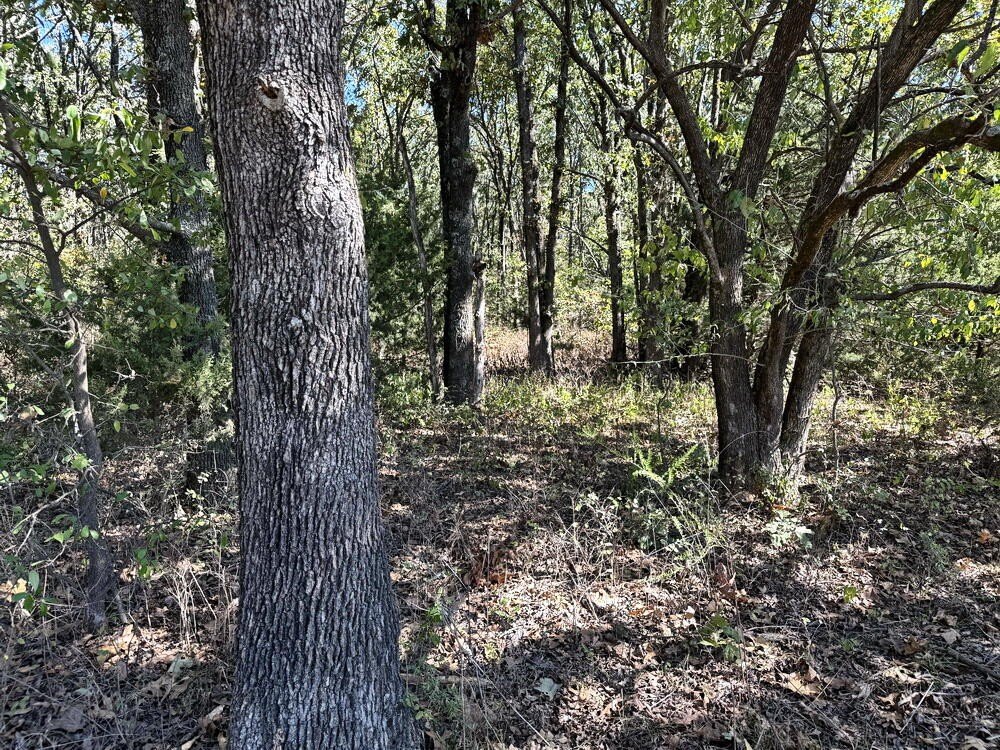 Picture 14