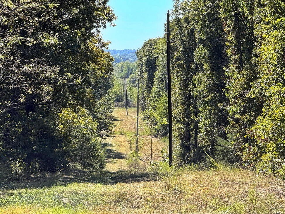 Picture 30