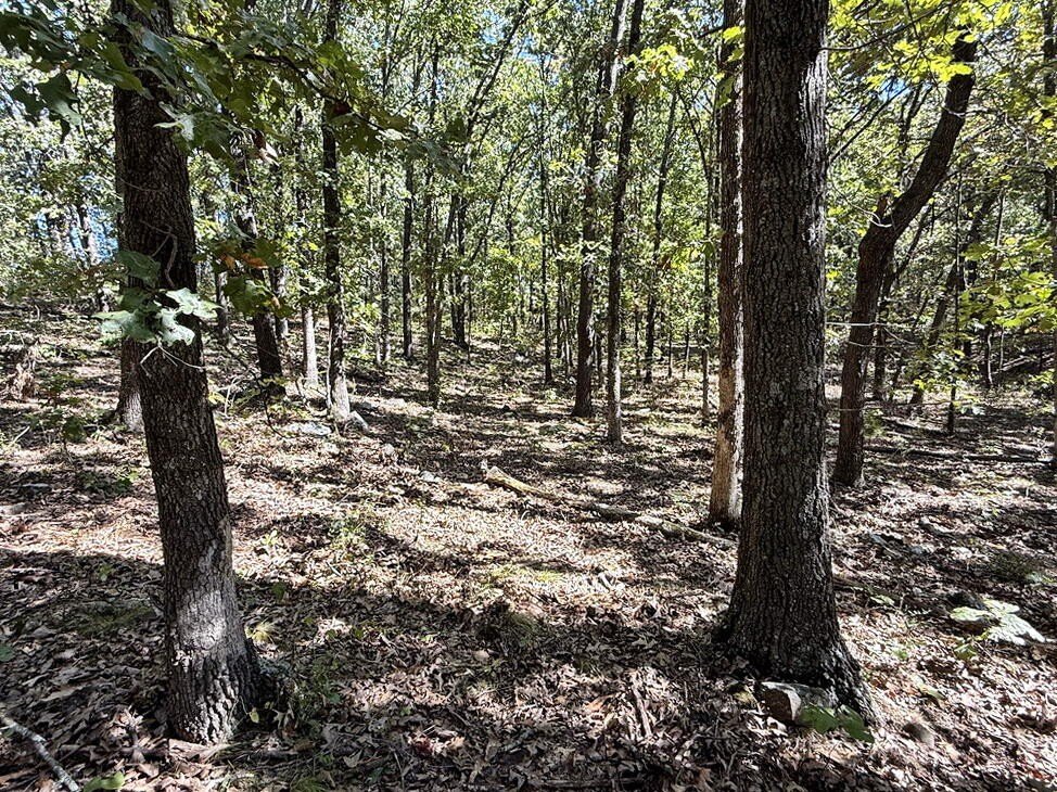 Picture 27