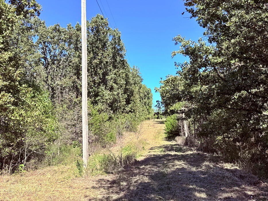 Picture 16