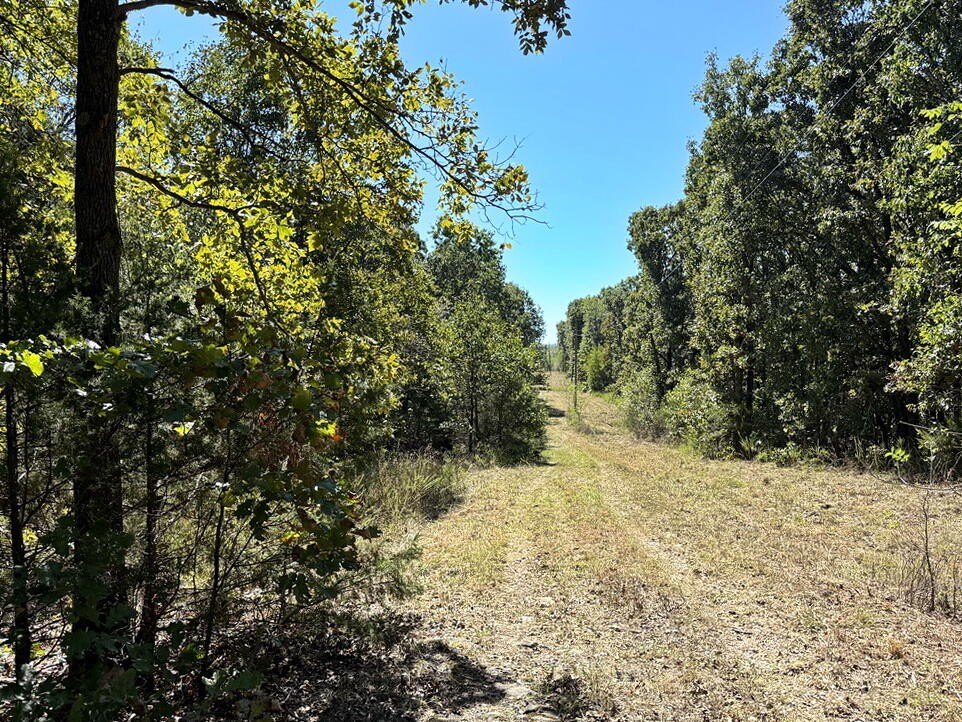 Picture 17