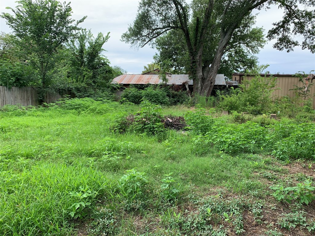 Picture 25