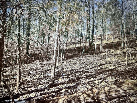 LAND - Cadiz, KY