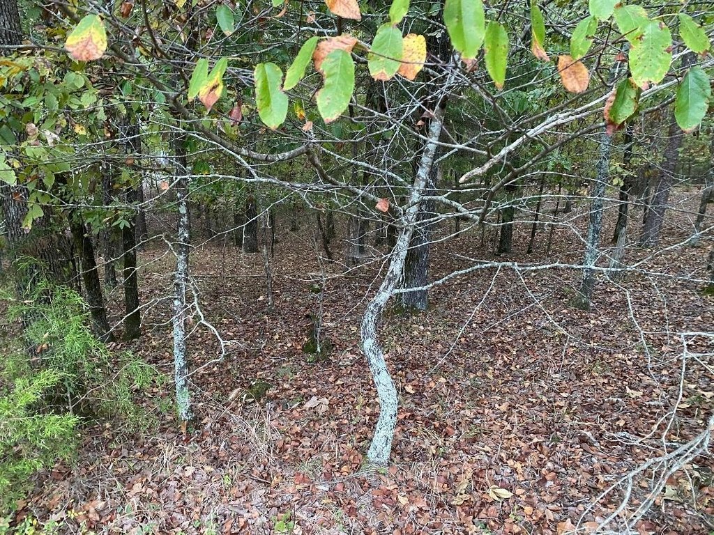 Picture 3