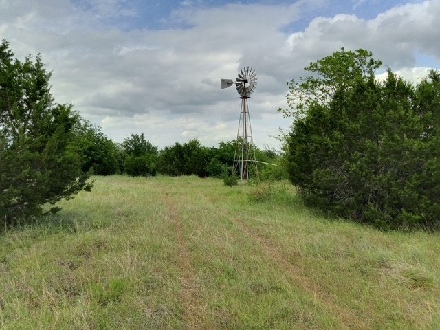 Picture 6