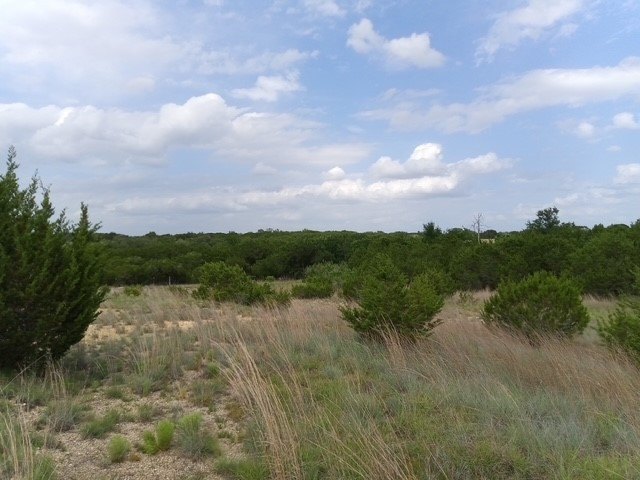Picture 7