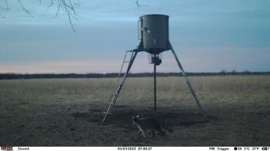 Picture 34