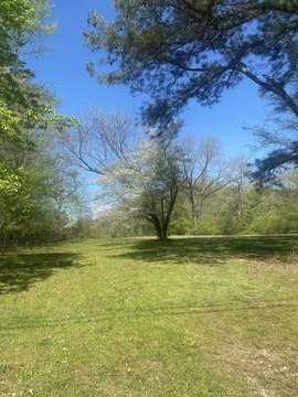 Residential Land in Unincorporated Shelby