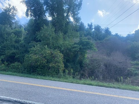 Commercial Land in Cedar Bluff