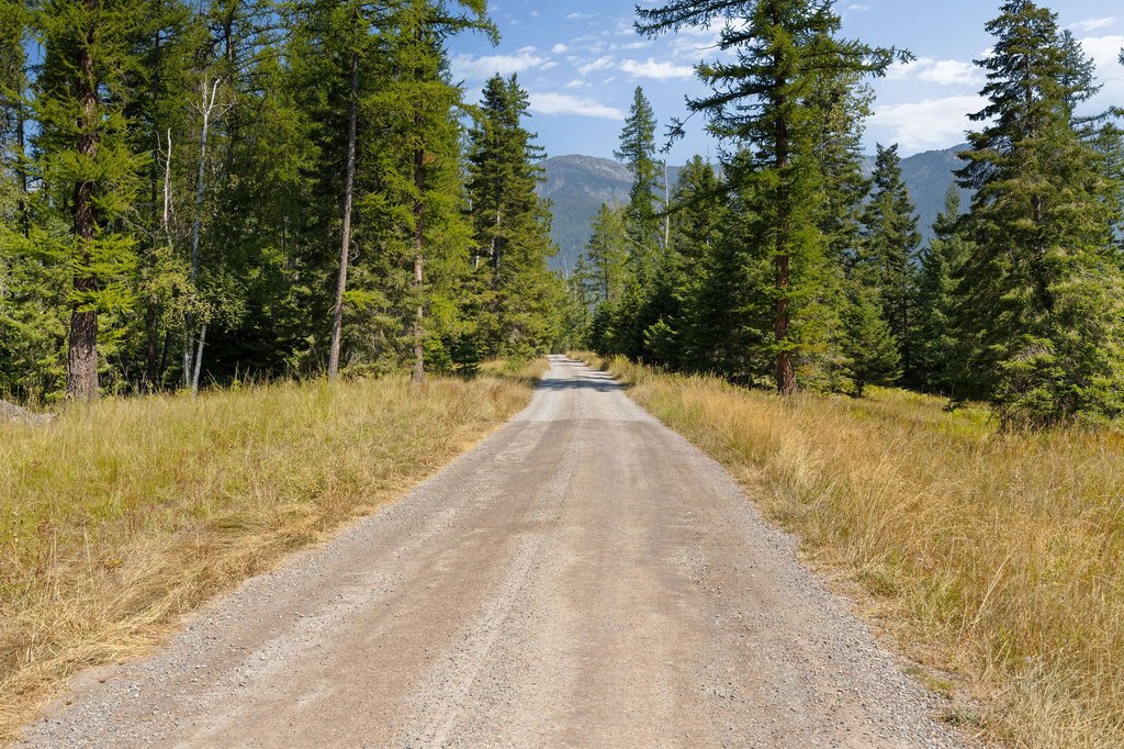 Picture 8