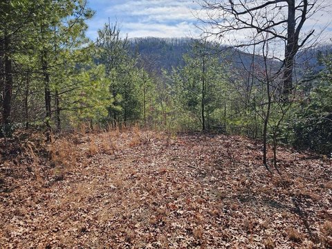 LAND - Murphy, NC