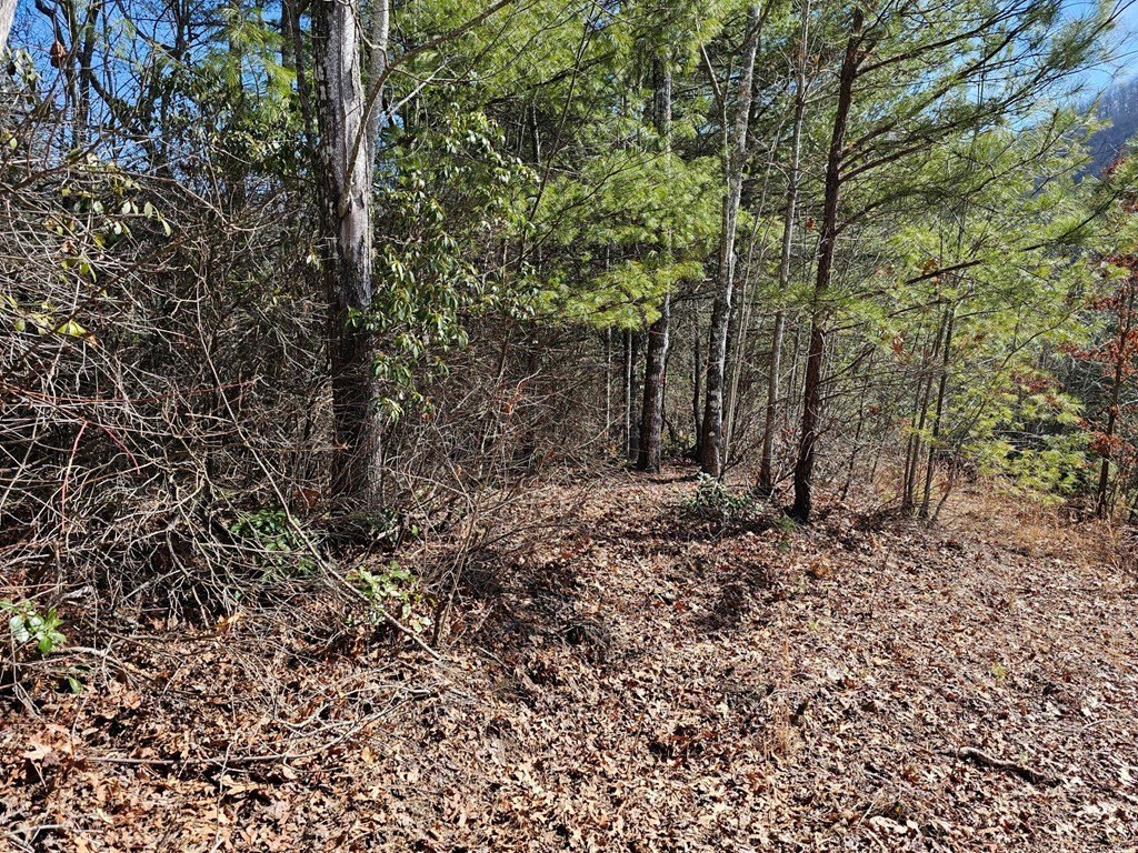 Picture 4