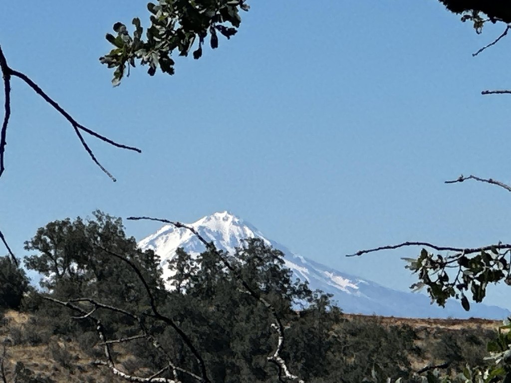 Picture 28