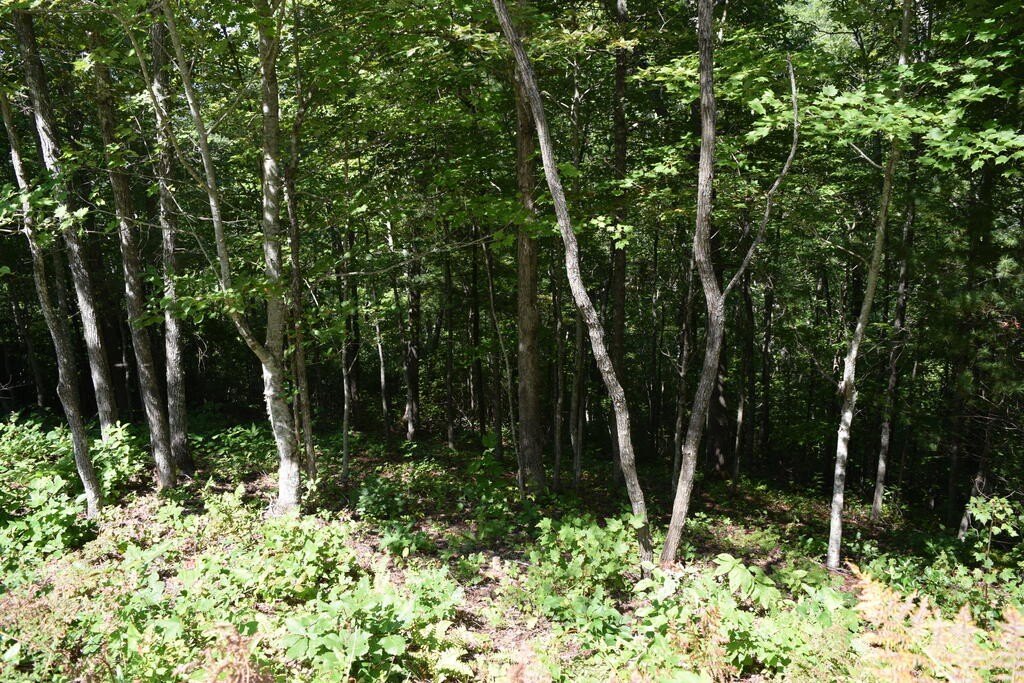 Picture 8