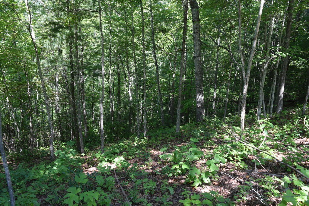 Picture 3