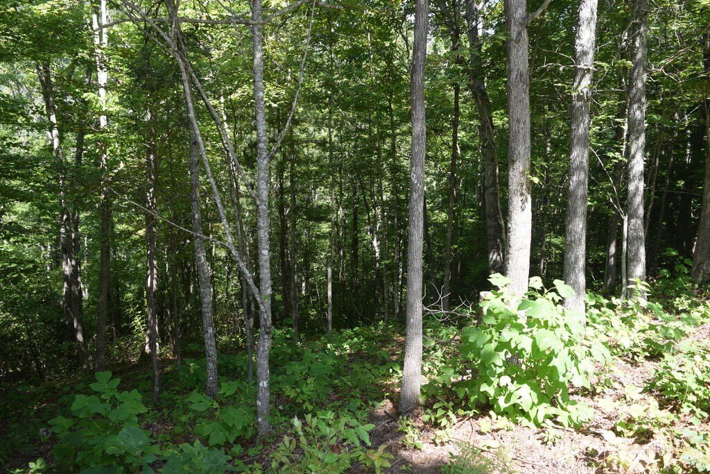 Picture 11