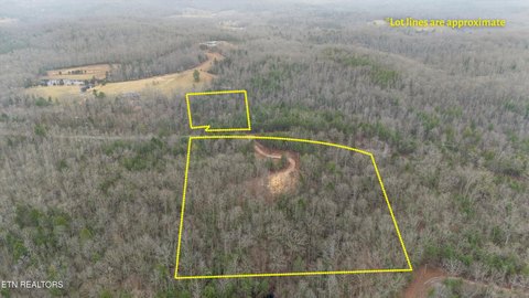20 Acres Land in Lancing, TN