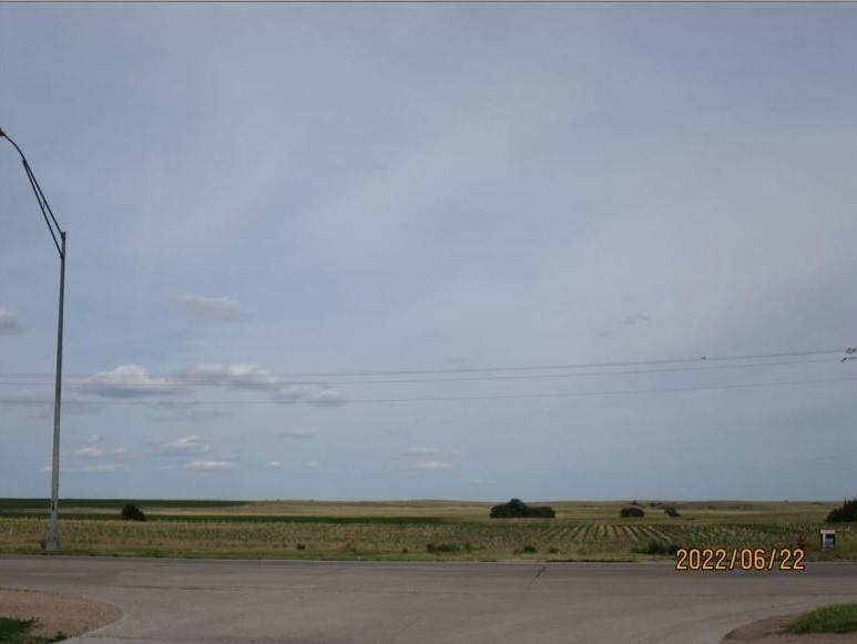 Picture 3