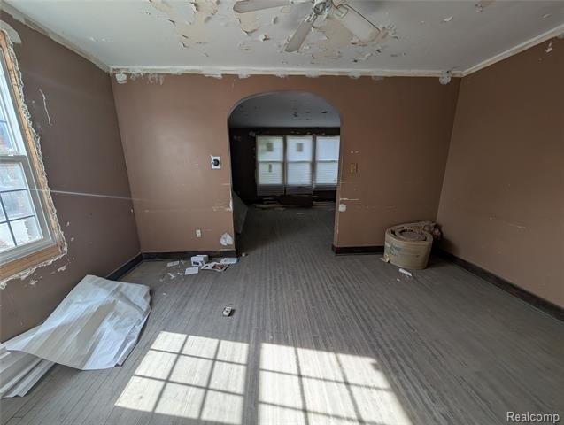 Picture 11
