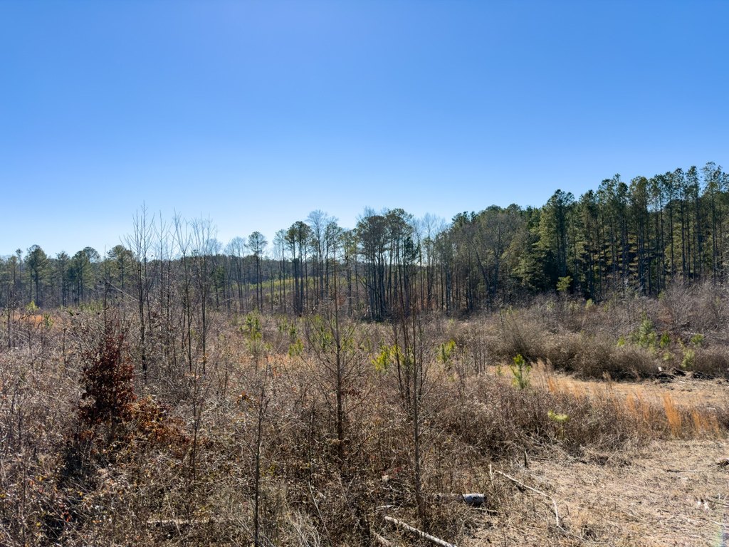 Picture 36
