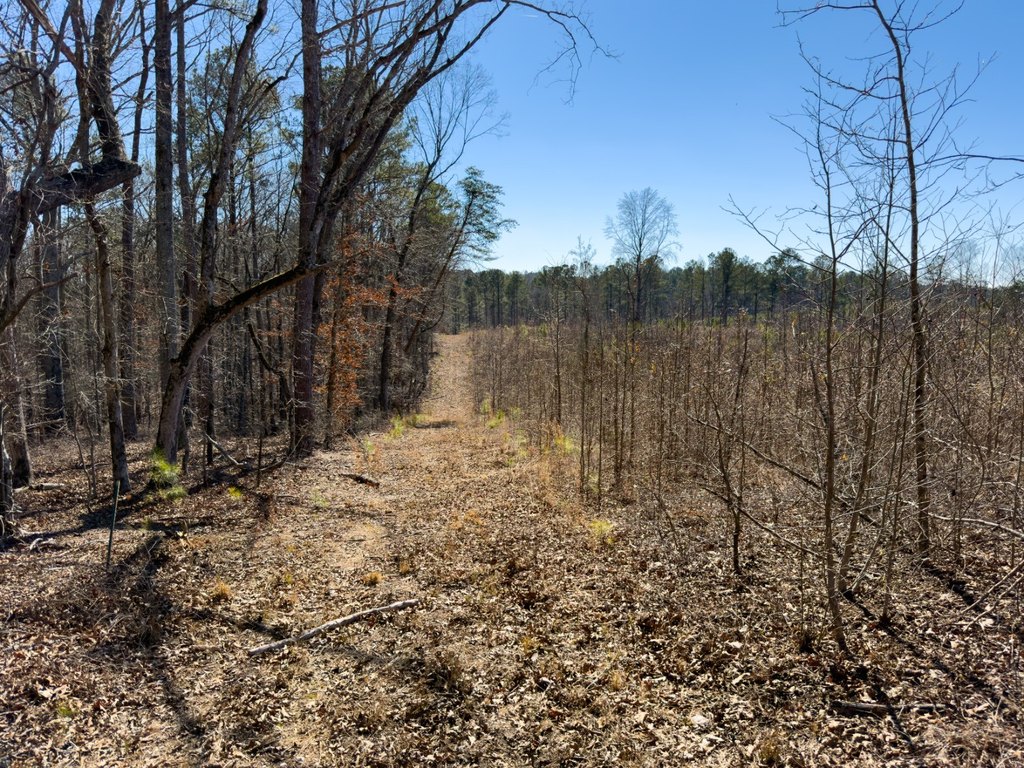Picture 30
