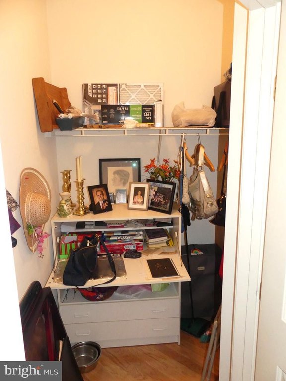 Picture 12