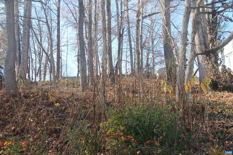 Charlottesville Land in Camelot Neighborhood