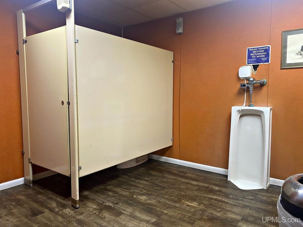 Picture 14
