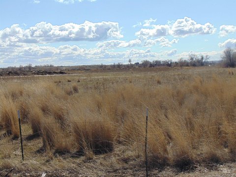 Ontario, OR Commercial Land