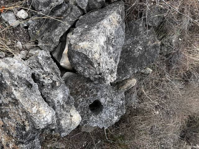 Picture 18