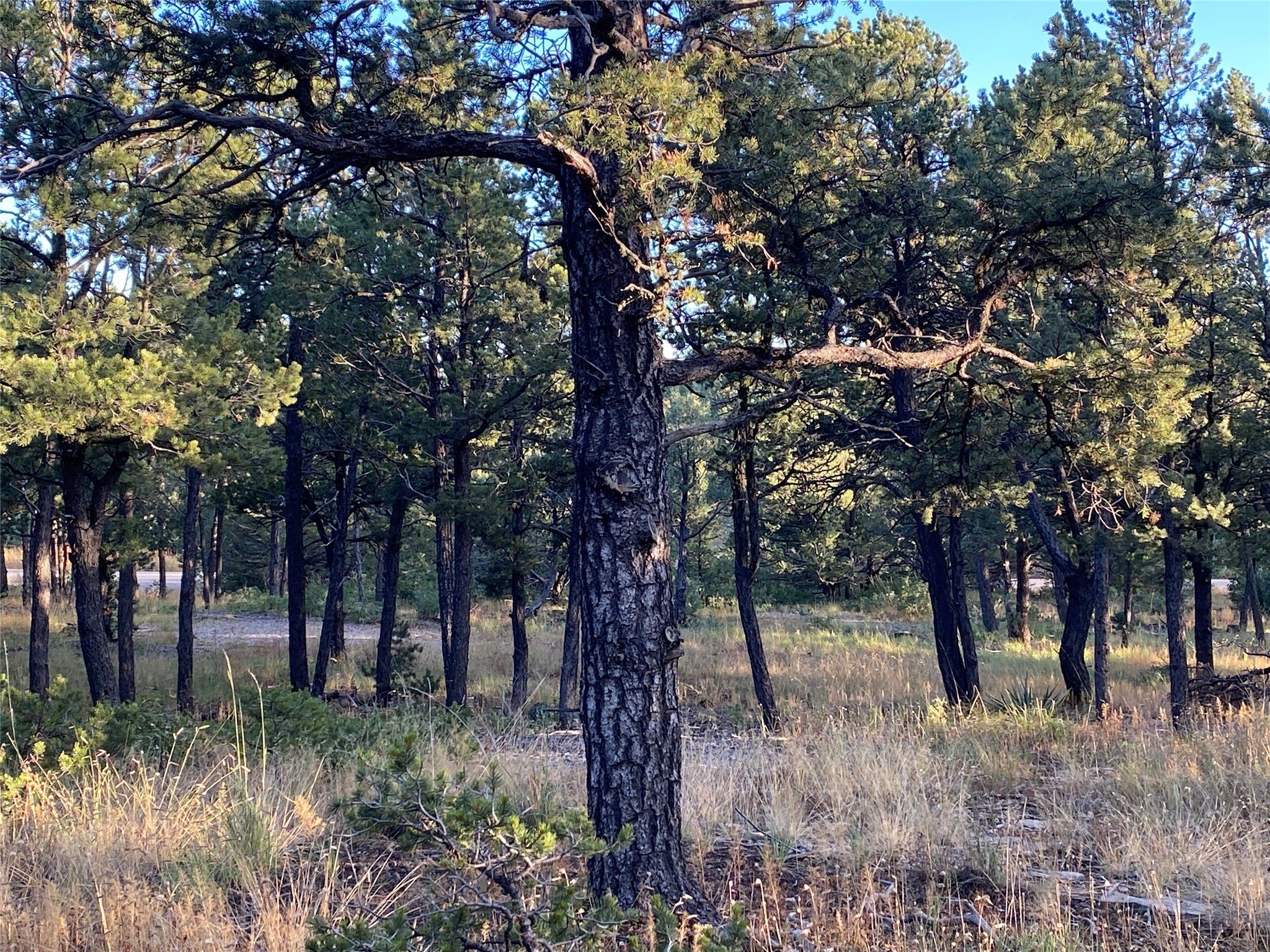 Private Land in Gated Community