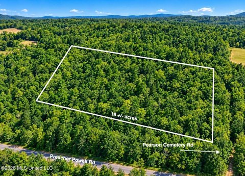 Surveyed Recreational Land