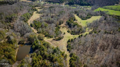 71.46 Acres in Greeneville, TN