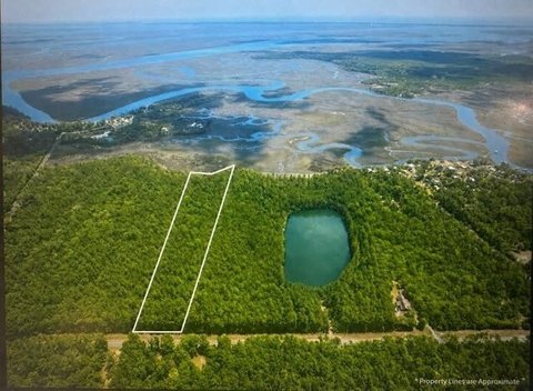 Wooded Land with Marsh Views