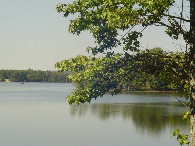 Picture 4